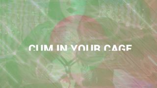 free xxx video 5 Cum In Your Cage on femdom porn femdom bukkake