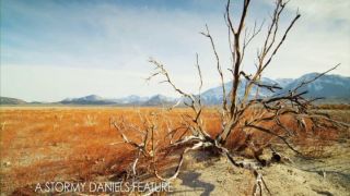 Vista previa de DVD_Se busca