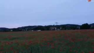 ShyLady - Blumenmadchen im Mohnfeld ZERFICKT