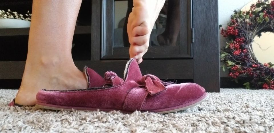 zephianna  my feet have made these slippers reek so bad i have to k on femdom porn femdom bondage pegging