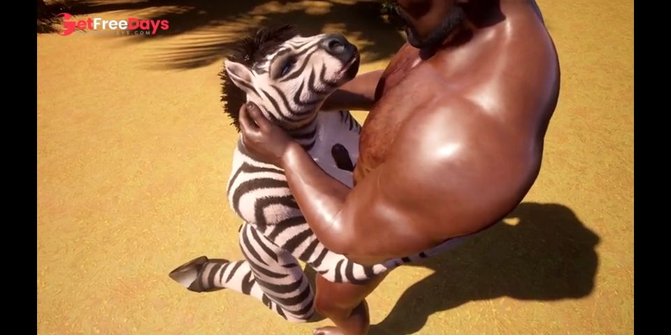 Curvy Zebra Furry Fucked by BBC Human Cock