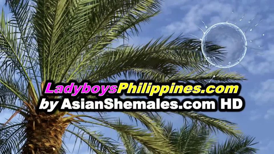 (Philippines) Hd, Solo(Shemale porn)