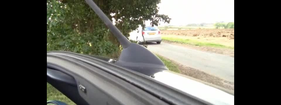SofisticadosFlashers Marlyn 2 4 (mp4)