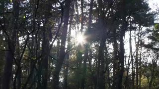 porn video 34 Daisy Kan Buitensex In De Herfst - [VurigVlaanderen/MeidenVanHolland] (HD 720p) - videos - fetish porn opulent fetish
