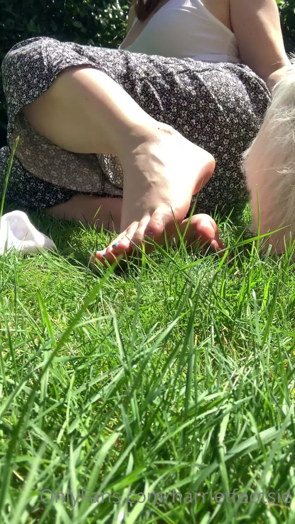 Onlyfans - Harriet King - harrietfootsie - harrietfootsieI want you to give me twice as much attention as I give to my dogs - 17-07-2021