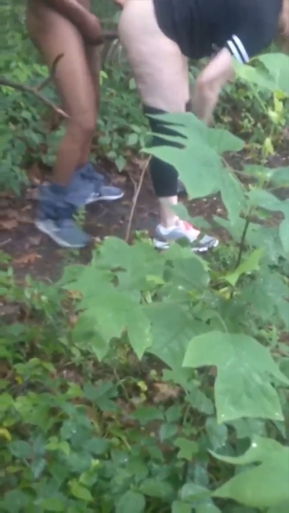 En Los Bosques Sólofans (Porno de Amateur)